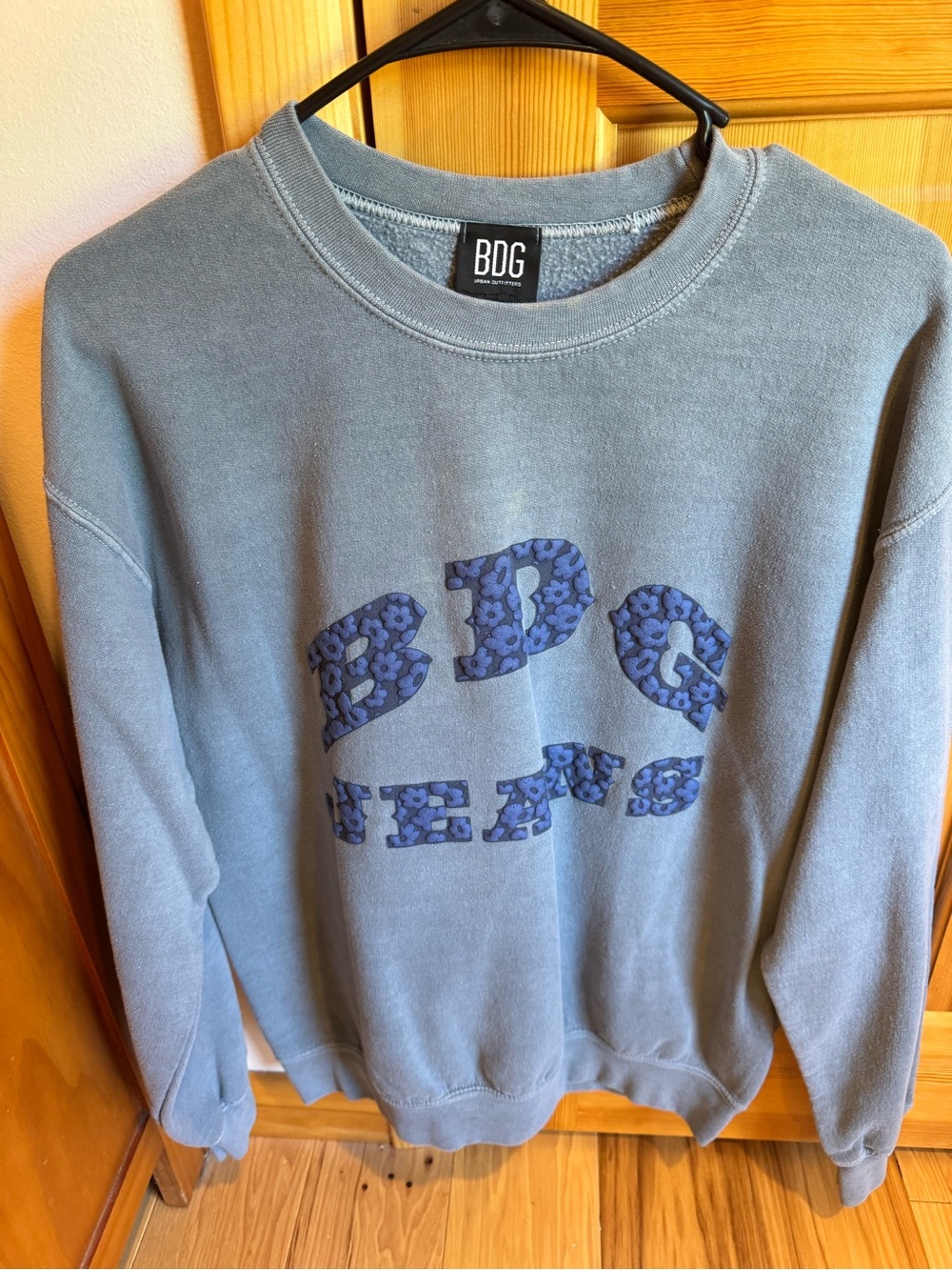BDG Blue Graphic Crewneck Sweatshirt